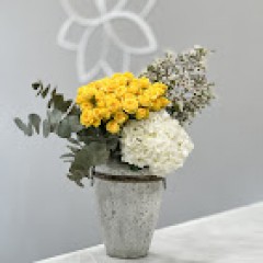 Seller Image